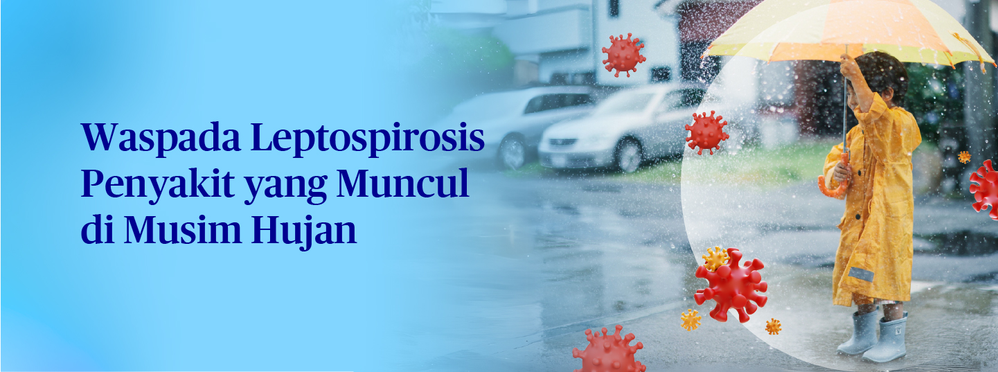 Penyakit Leptospirosis, Salah Satu Penyakit Musim Hujan